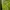 Sportswear Casual Jersey Pria green photo 3
