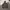 Zip hoodie raplh lauren olive photo 1