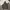 Zip Hoodie Raplh Lauren Olive