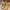 Timberland boots OG photo 5