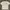 Hard Rock Cafe Y2K T-shirt Pria White