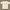 Gildan Streetwear T-shirt Pria White