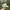 Ropehat vintage under visor green USA photo 2