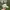 Ropehat Vintage Under Visor Green USA