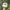 Ropehat vintage under visor green USA photo 1
