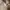Ehka Sopo bySM2 Cardigan Semi Crop Full Kepang / Cable Knit photo 5