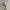 Nike x Billie eilish oversize hoodie photo 2