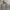 Nike x Billie eilish oversize hoodie photo 1