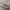 Nike x Billie eilish oversize hoodie photo 8