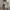 Nike x Billie eilish oversize hoodie photo 3