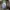 Nike x Billie eilish oversize hoodie photo 6