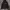 Hoodie Stussy World Tour photo 3