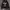 Hoodie Stussy World Tour