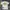 Stussy x Futura Atom Rare photo 2