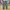 Ankle Pants GU By Uniqlo Olive