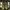 Vans Skate Style 53 Beatrice Domond Dark Olive photo 2