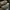 Vans Skate Style 53 Beatrice Domond Dark Olive photo 5