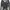 Flared jeans Lolita mud wash photo 5