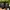 Vans Skate Loafers Full Black photo 4