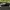 Vans Skate Loafers Full Black photo 1