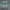 NIKE OFF WHITE X DUNK LOW PINE GREEN SECOND 45 photo 3