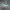 NIKE OFF WHITE X DUNK LOW PINE GREEN SECOND 45 photo 1