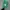 NIKE OFF WHITE X DUNK LOW PINE GREEN SECOND 45 photo 4