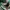 NIKE OFF WHITE X DUNK LOW PINE GREEN SECOND 45 photo 7