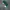 NIKE OFF WHITE X DUNK LOW PINE GREEN SECOND 45 photo 5