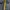 Gorpcore Windbreaker Pria green tan photo 5