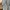 Gorpcore Windbreaker Pria green tan photo 7