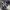 Adidas Casual Casual shoe Pria white black photo 1