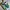 Adidas Spezial Handball Collegiate Green Cloud White Chalk W