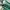 Adidas Spezial Handball Collegiate Green Cloud White Chalk W photo 5