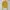 Uniqlo Cardigan Basic V-Neck Kuning Mustard