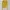 Uniqlo Cardigan Basic V-Neck Kuning Mustard photo 6