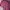 H&M Luxury Minimalist Prom dress Wanita burgundy red photo 2