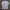 KAOS BURBERRY SECOND AUTHENTIC photo 4