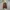 Vans Era Love Me Not Daisy True White photo 7