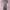 H&M Luxury Casual Midi Dress Wanita Gray