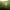 Colorbox Green Vest photo 3