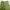 Colorbox Green Vest
