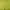 Colorbox Green Vest photo 4