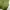 Colorbox Green Vest photo 1