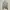Nike Streetwear Y2K Hoody Pria Gray
