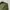 Mad Hectic Army Shirt japan made photo 8