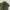 Mad Hectic Army Shirt japan made photo 2
