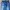 Feding Jeans Blue