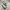 Vans Sk8 Hi Grey Heiq Eco Dry photo 1