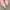 Prada Slingback Kitten Heels Pink photo 4